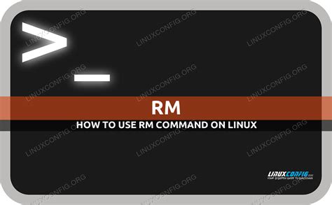 rm command in Linux with examples .